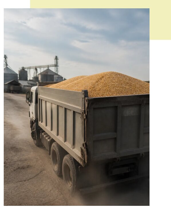 Перевозка сельхозпродукции навалом в Пушкина по цене от 3245 р. | Агросервис-Пшн