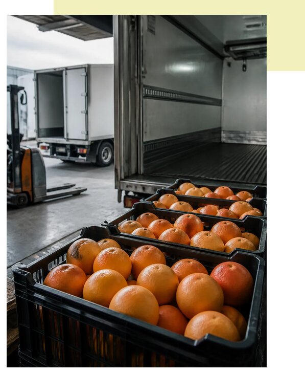 Перевозка грейпфрутов в Пушкина по цене от 5787 р. | Агросервис-Пшн
